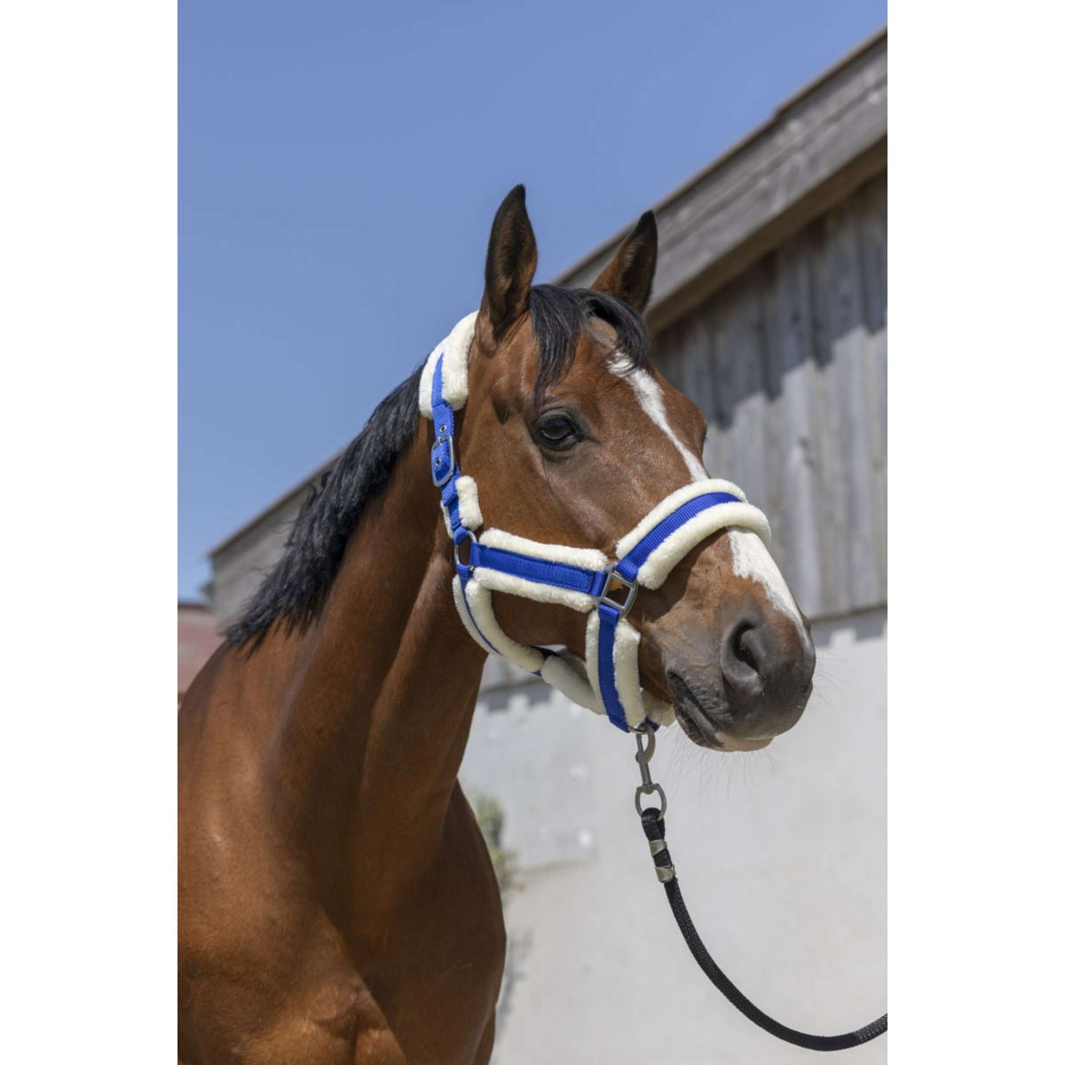 Norton Capezzina Cosy Blu reale