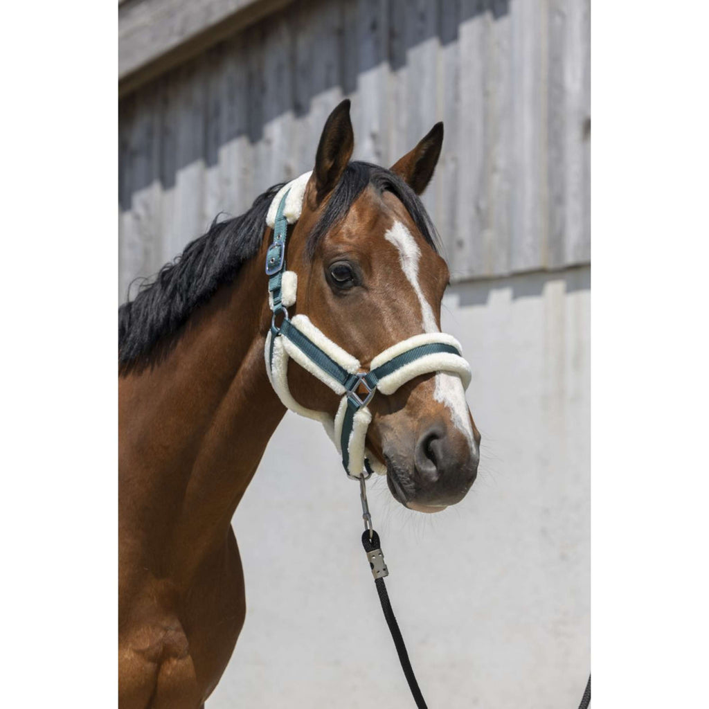 Norton Capezza Cosy Verde scuro