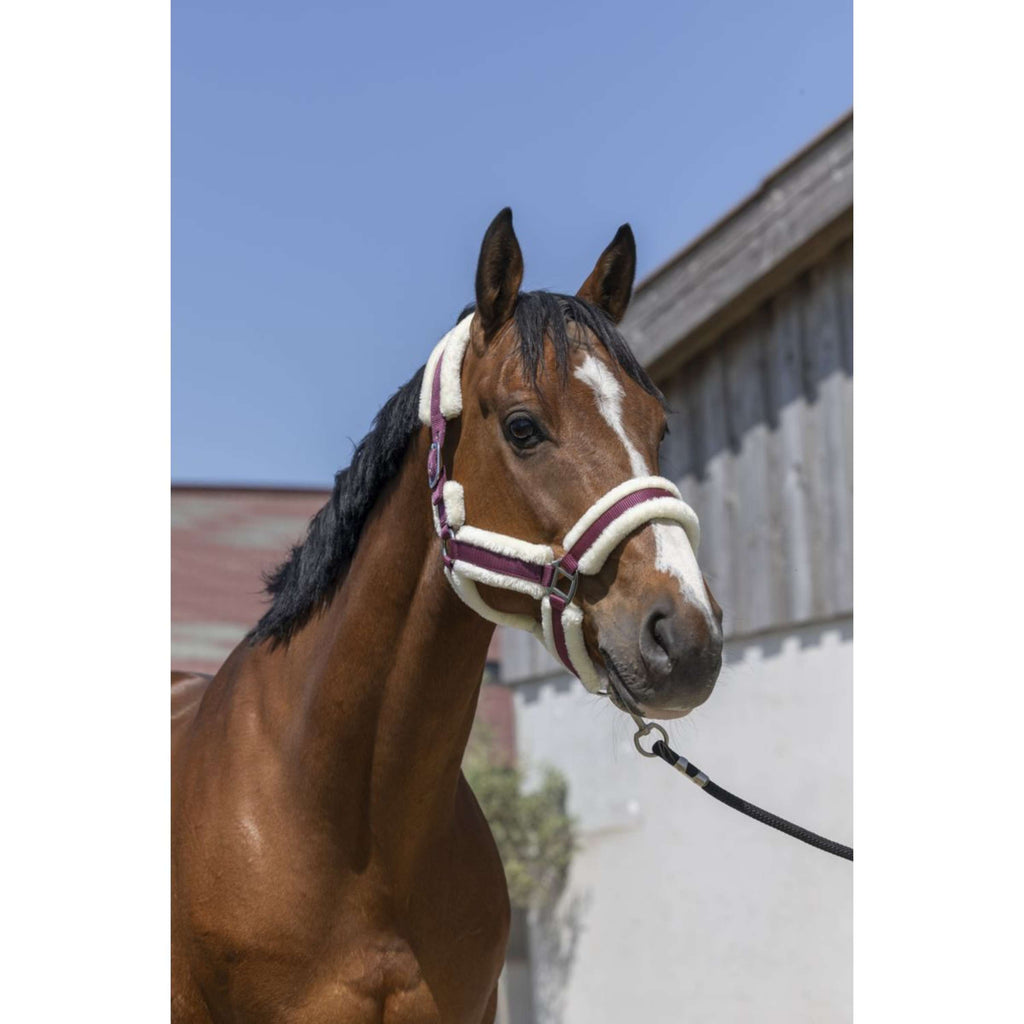 Norton Capezza Cosy Borgogna