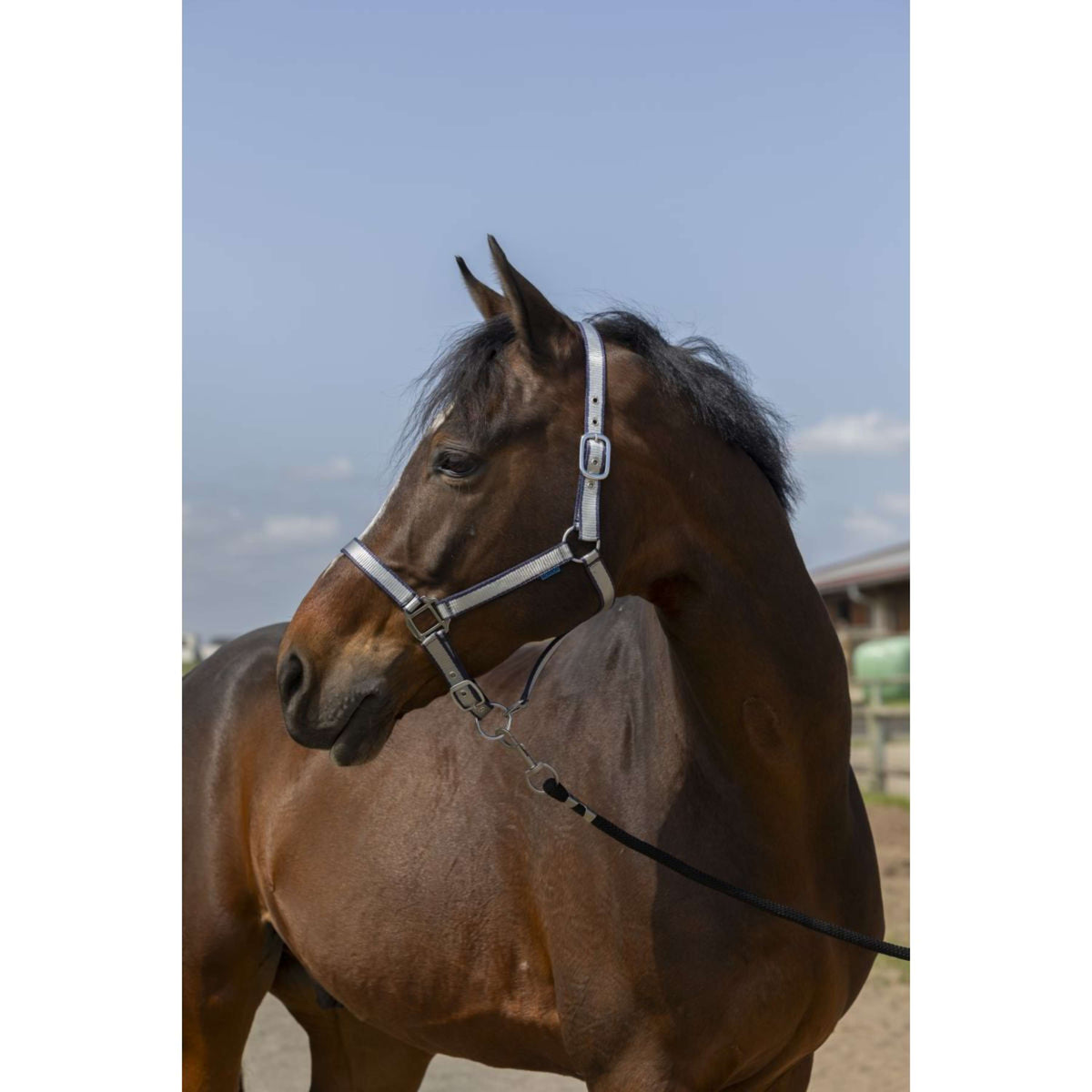 Norton Capezzina Soft Nylon Navy