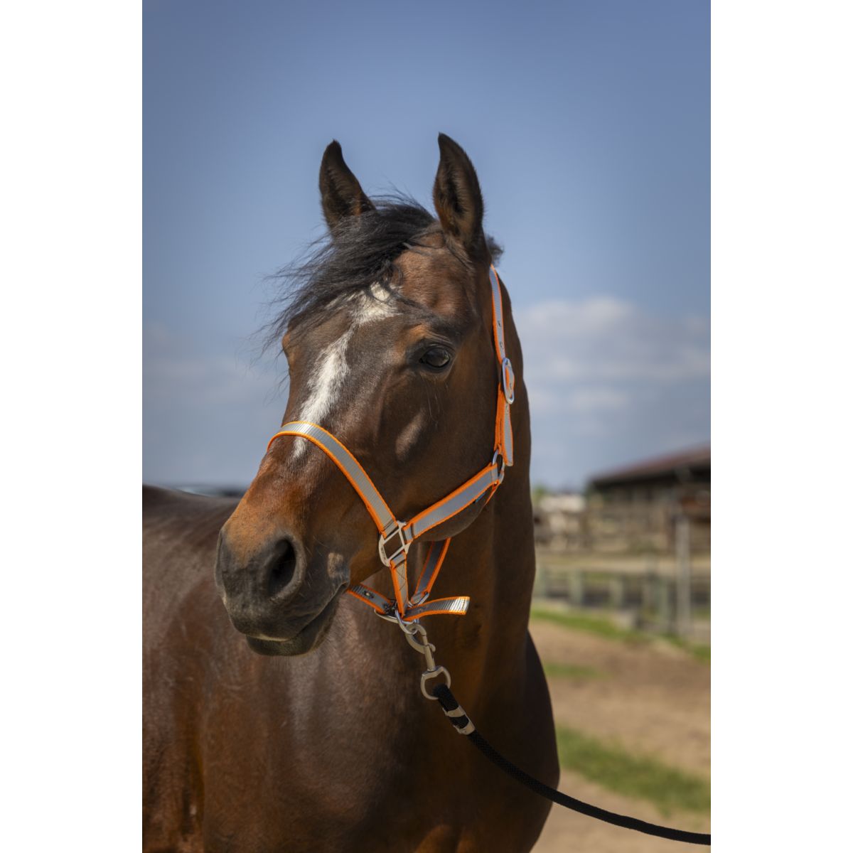 Norton Capezzina Soft Arancia