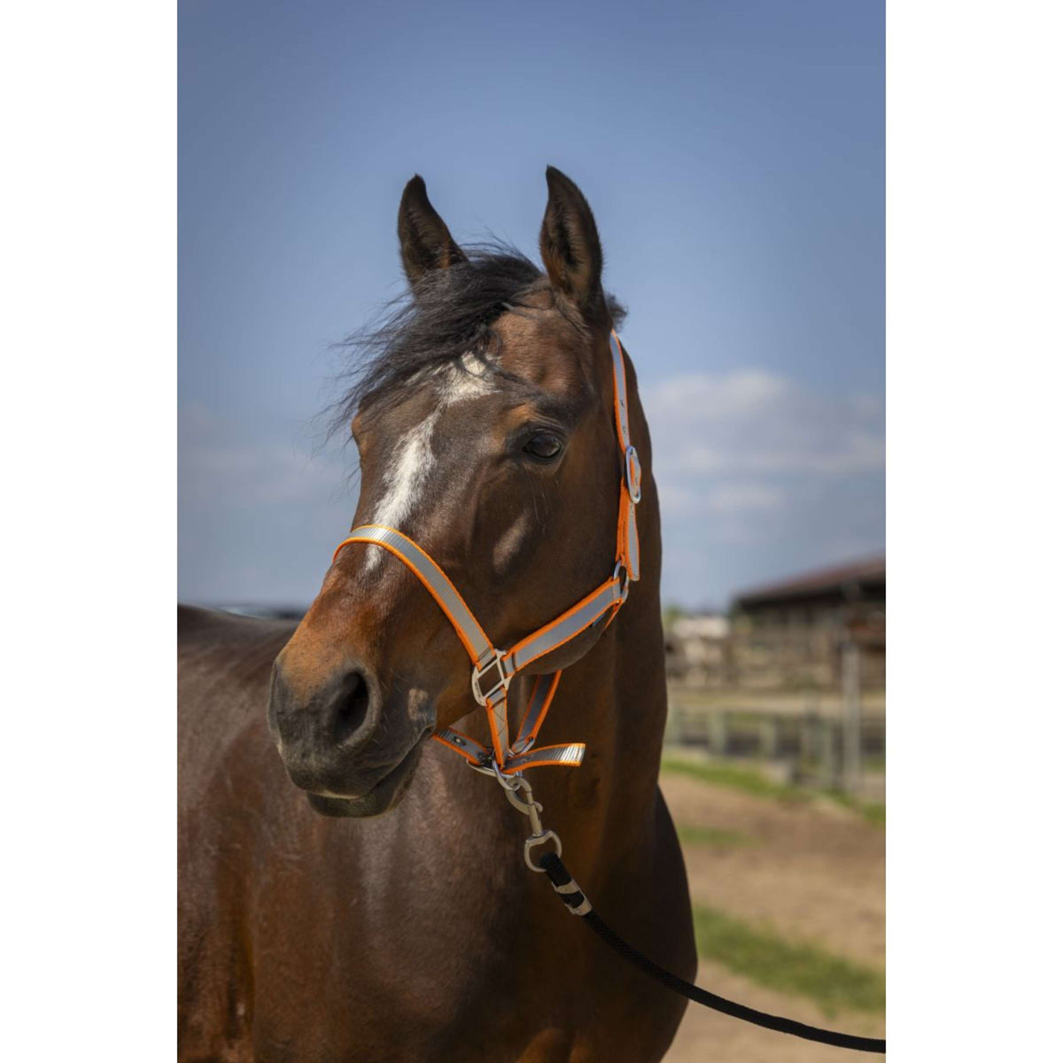 Norton Capezzina Soft Arancia