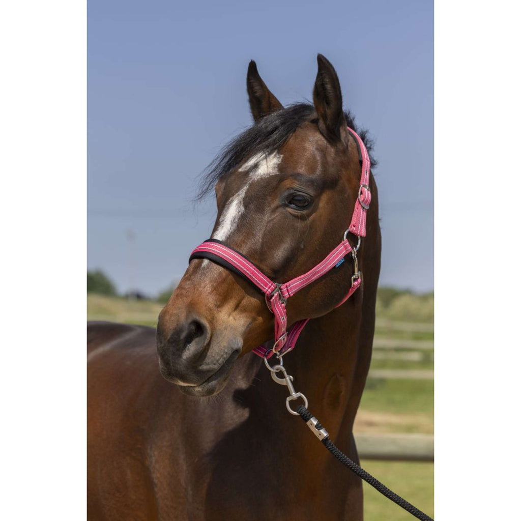 Norton Capezza 4Lines Rosa antico