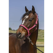 Norton Capezzina 4Lines Rosa antico