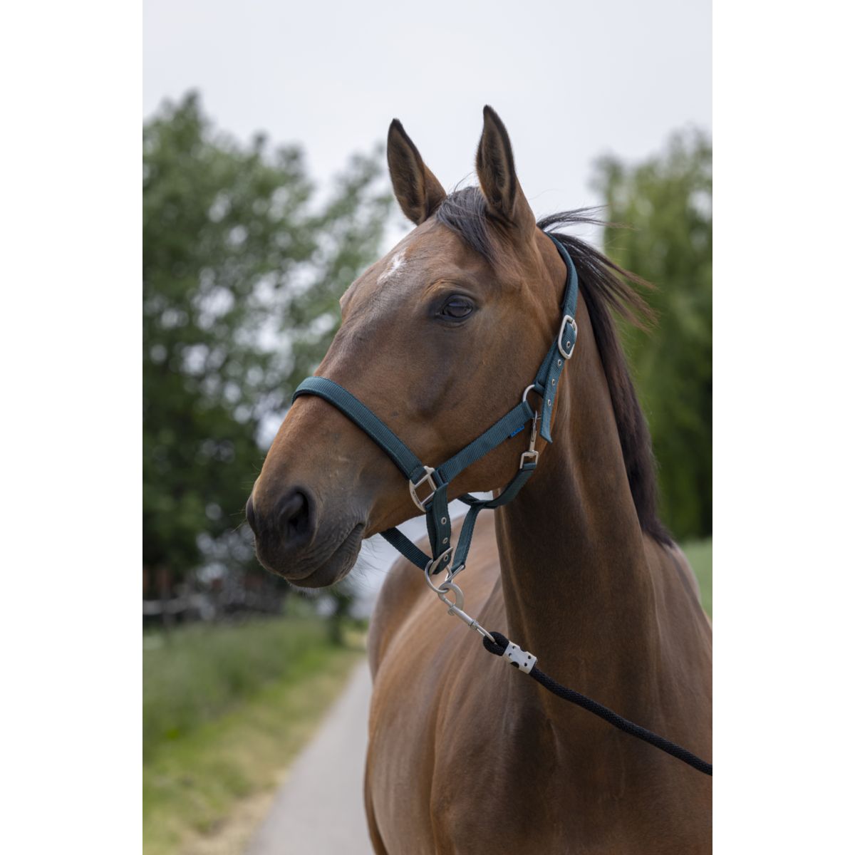 Norton Capezzina Satine Verde scuro