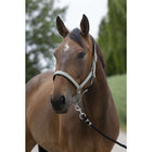 Norton Capezza Satine Oliva