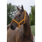 Norton Capezza Satine Arancia
