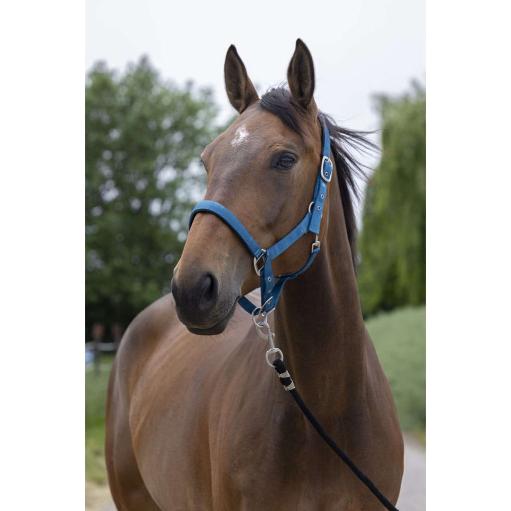 Norton Capezza Satine Anatra Blu