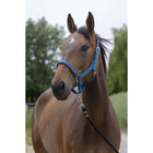 Norton Capezza Satine Anatra Blu