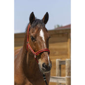 Norton Capezzina Satine Rosso/Nero