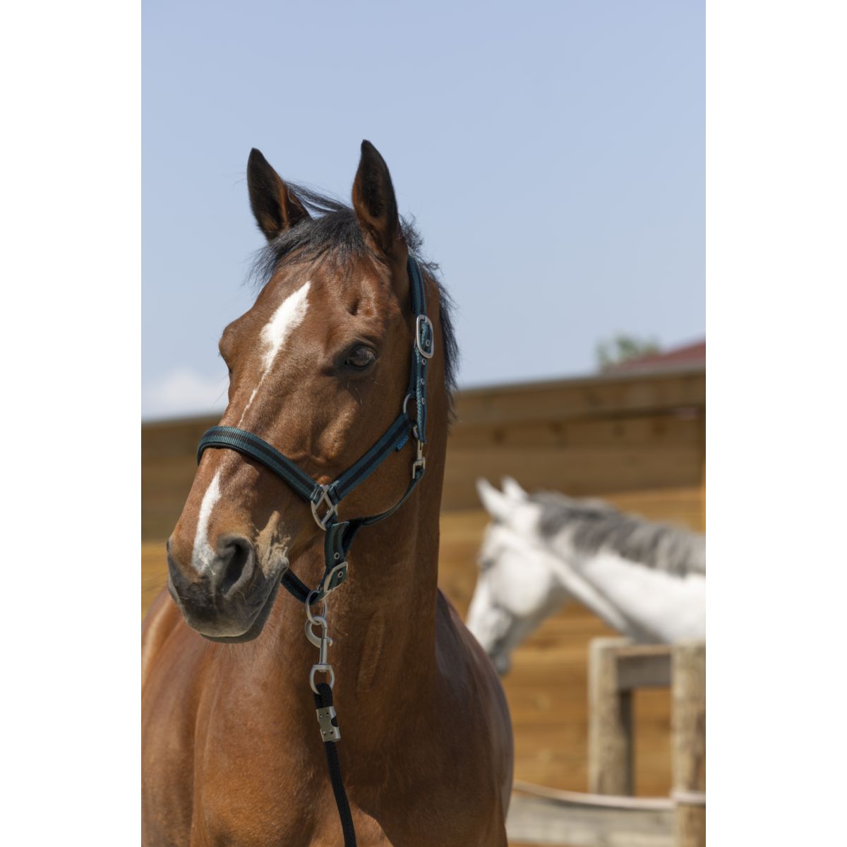 Norton Capezzina Satine Verde scuro/nero