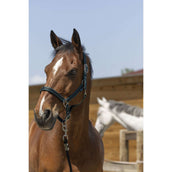 Norton Capezzina Satine Verde scuro/nero