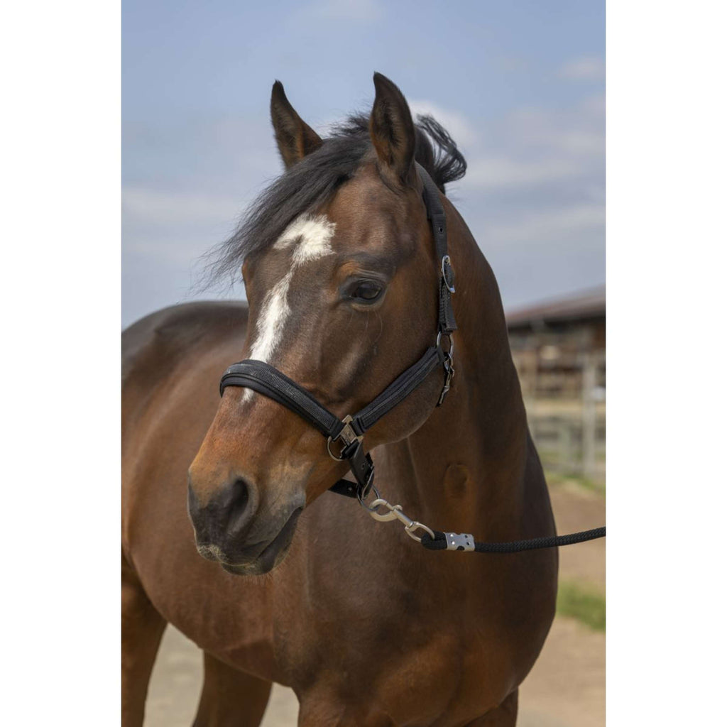 EQUITHÈME Cavezza Strass Nylon Nero