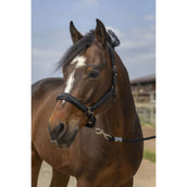 EQUITHÈME Capezzina Strass Nero