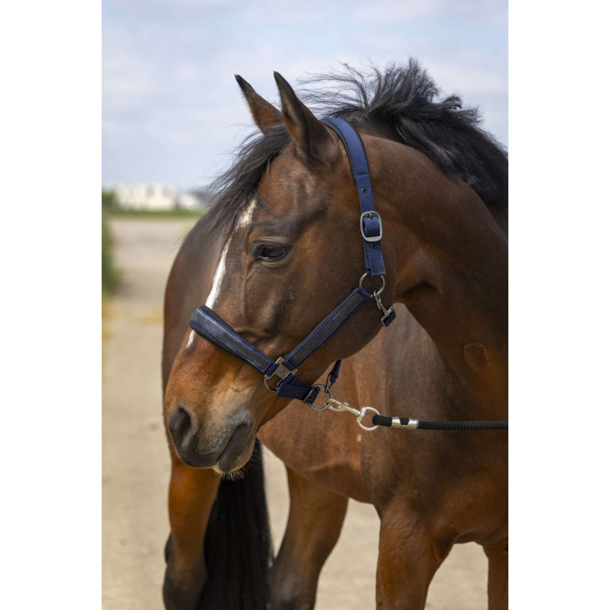 EQUITHÈME Capezzina Strass Nylon Navy