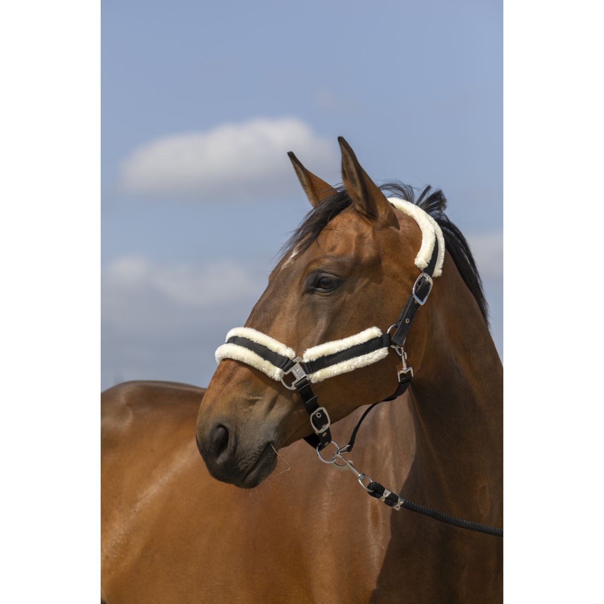 EQUITHÈME Capezzina Mouton Nero/Bianco