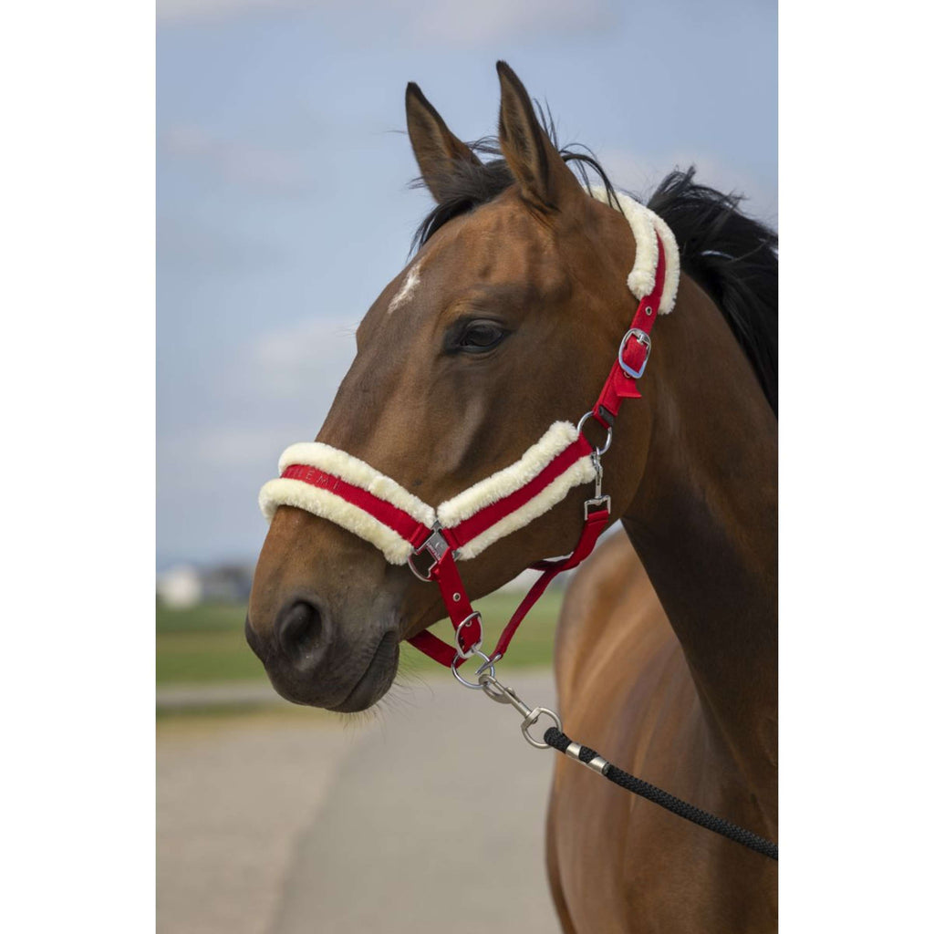EQUITHÈME Cavezza Mouton Nylon Rosso/Bianco