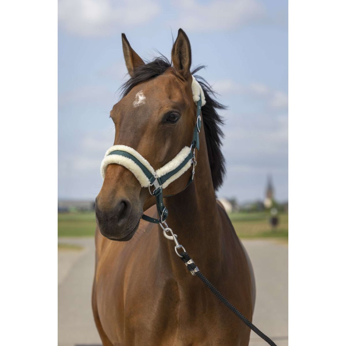 EQUITHÈME Capezzina Mouton Verde/Bianco