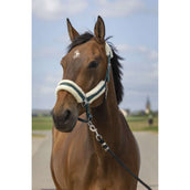 EQUITHÈME Capezzina Mouton Verde/Bianco