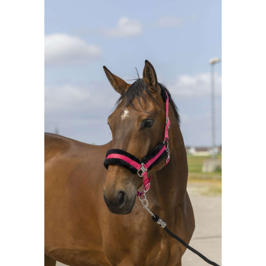 EQUITHÈME Cavezza Mouton Nylon Rosa/Nero