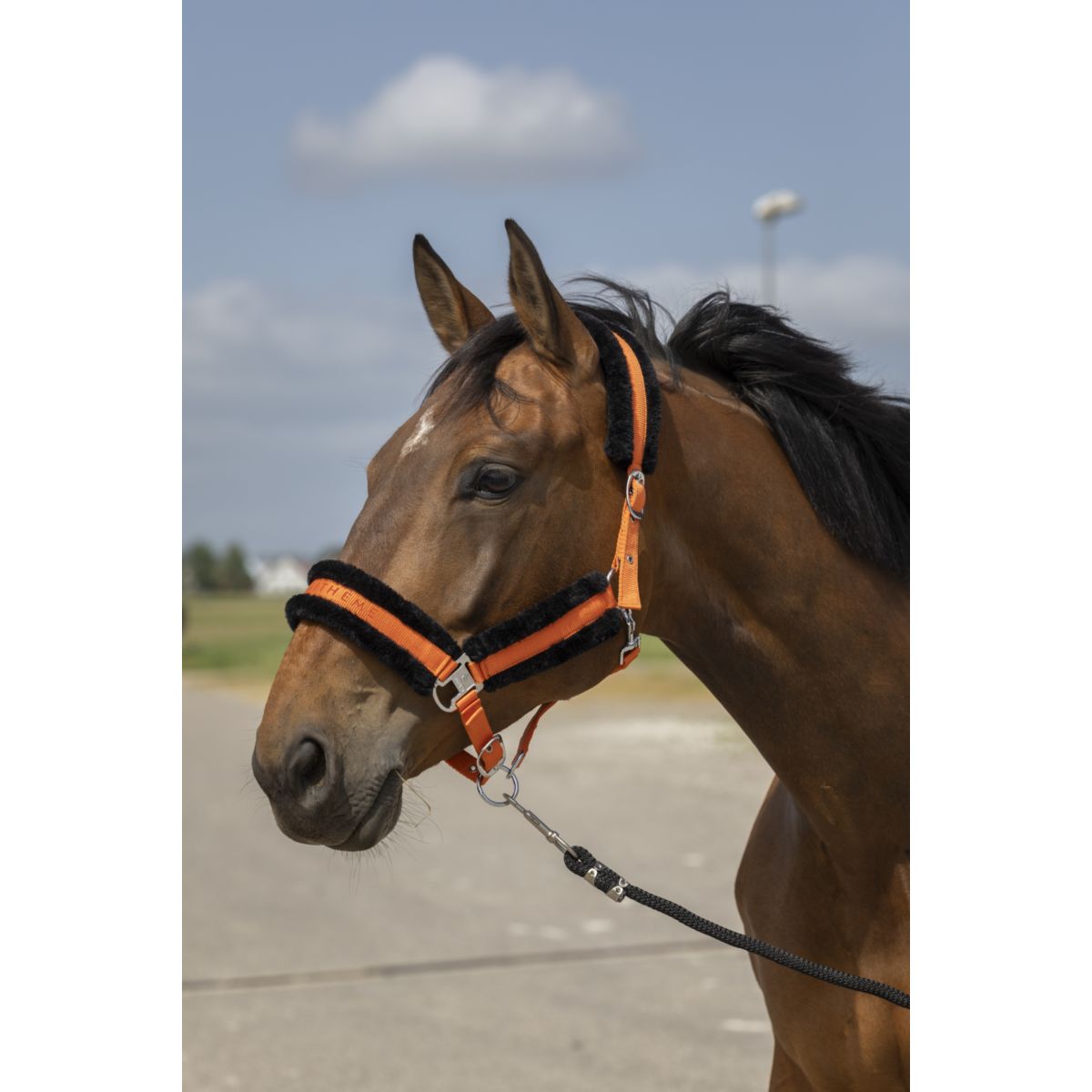 EQUITHÈME Cavezza Mouton Nylon Arancione/Nero