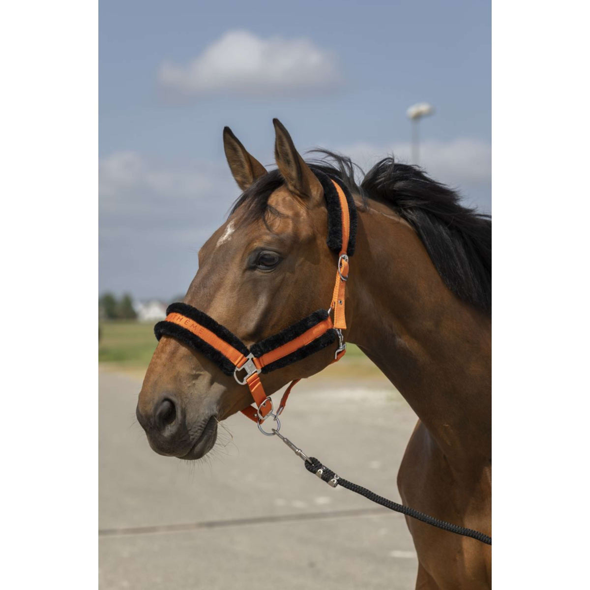 EQUITHÈME Cavezza Mouton Nylon Arancione/Nero