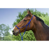 Norton Capezza Morbido Etologico Blu reale