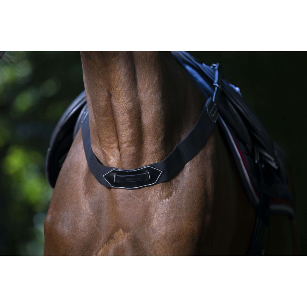 Eric Thomas Pettorale Pro Elastico Havanna