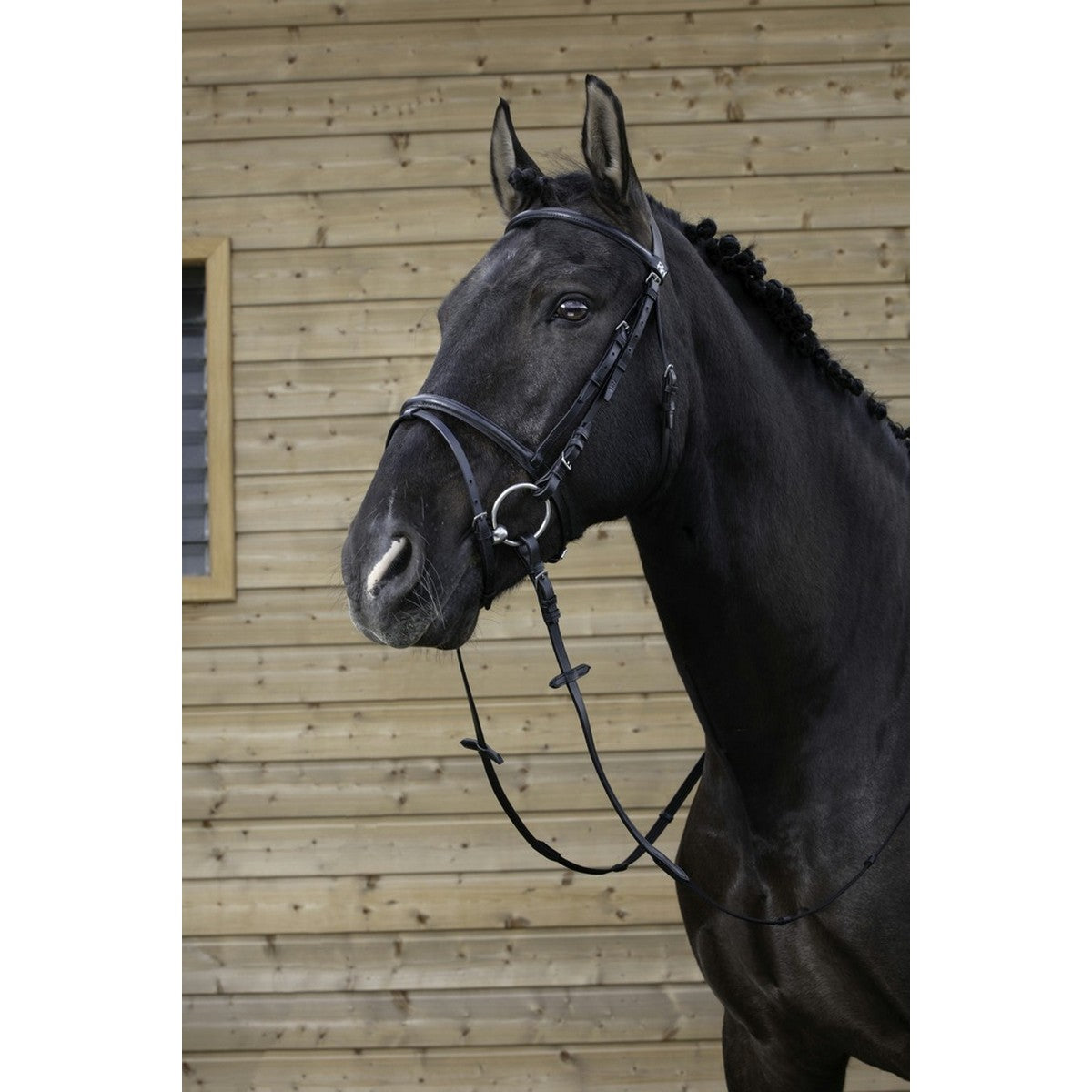 Riding World Briglia Nero