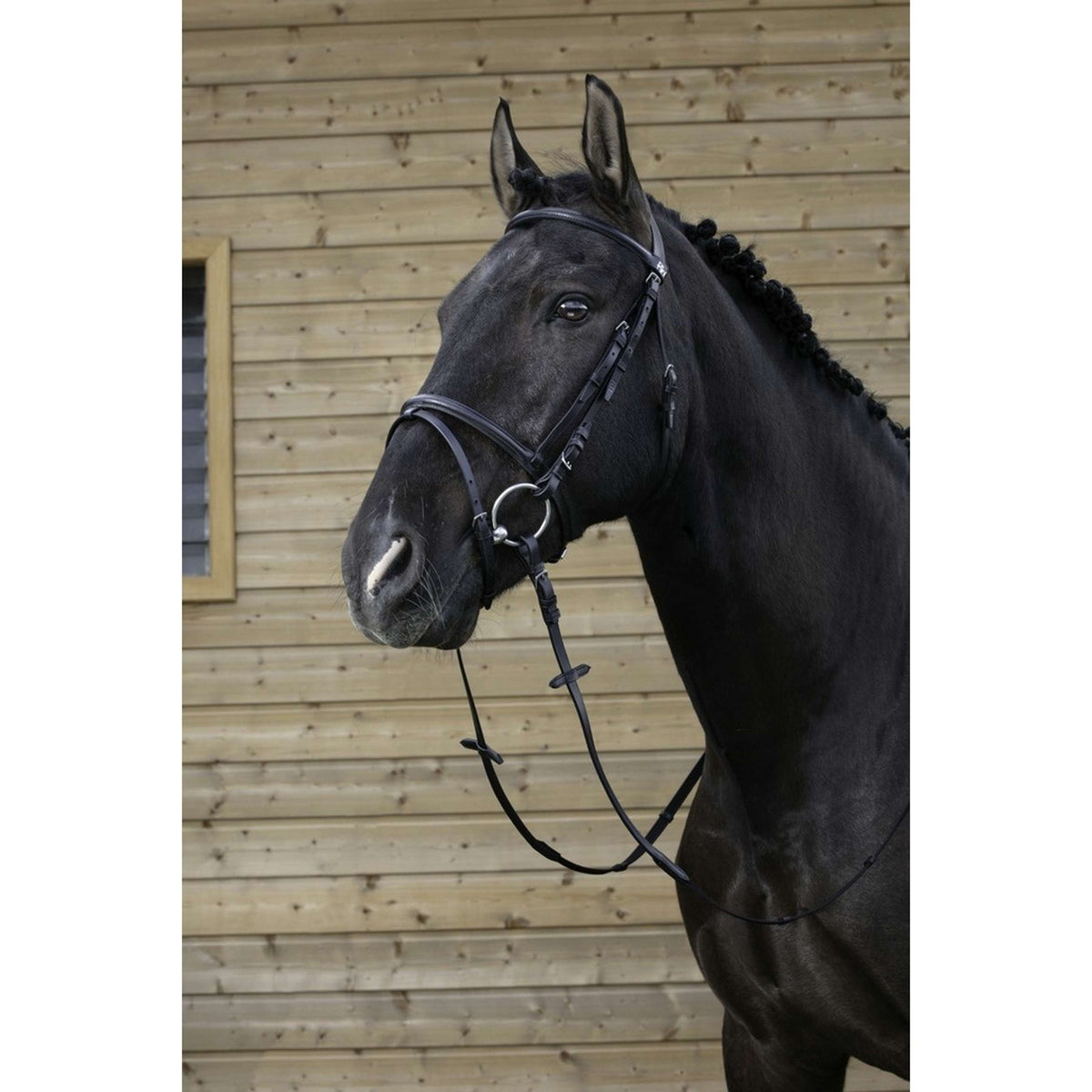 Riding World Briglia Nero