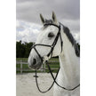Riding World Briglia