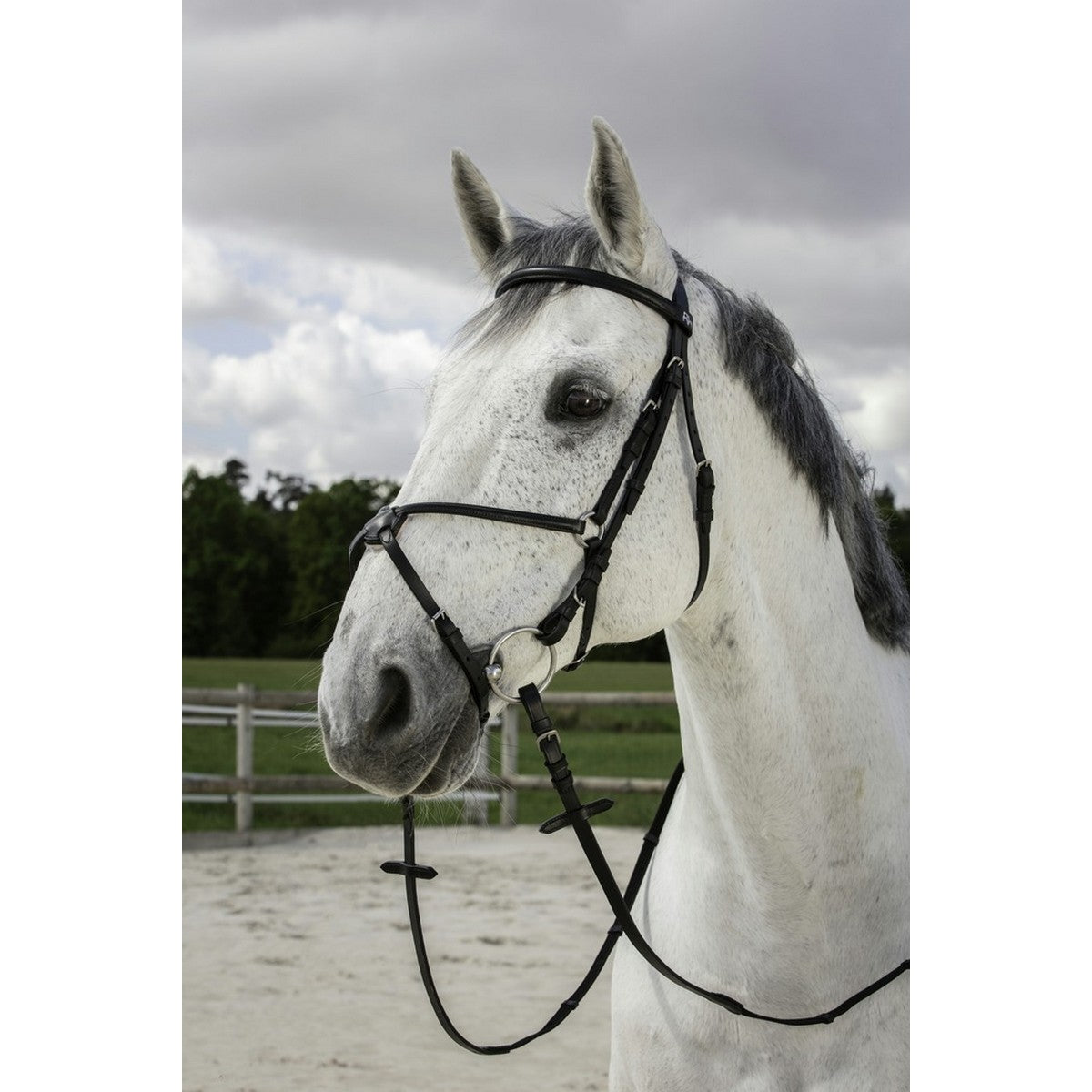 Riding World Briglia