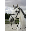 Riding World Briglia