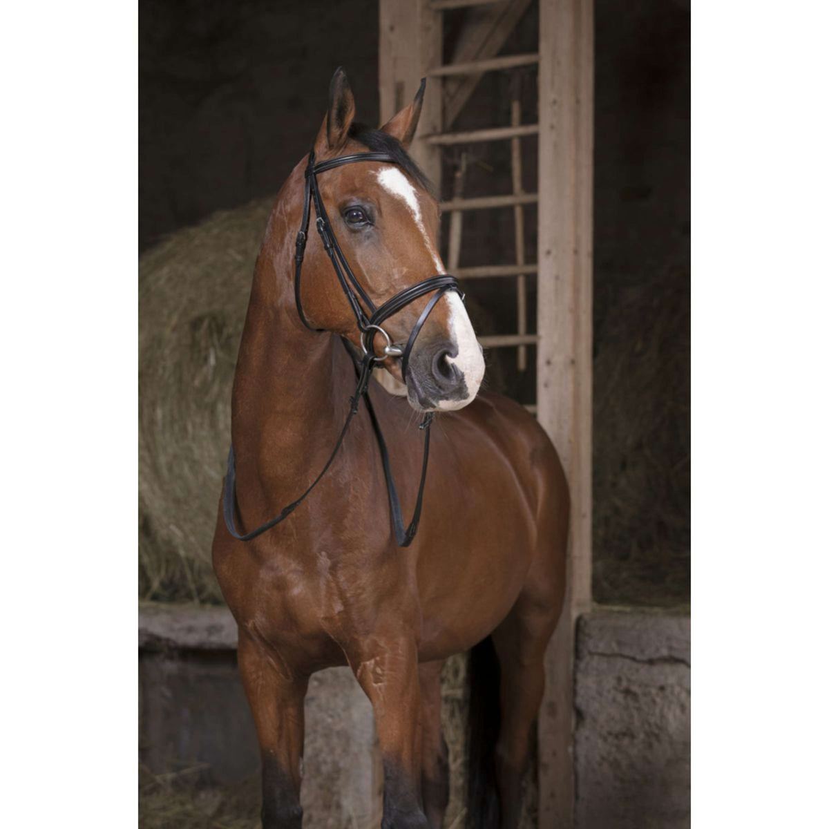 Norton Redini Pro Nero/Bianco