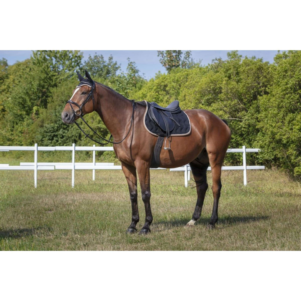 EQUITHÈME Cuffietta Polyfun Nero/Tortora