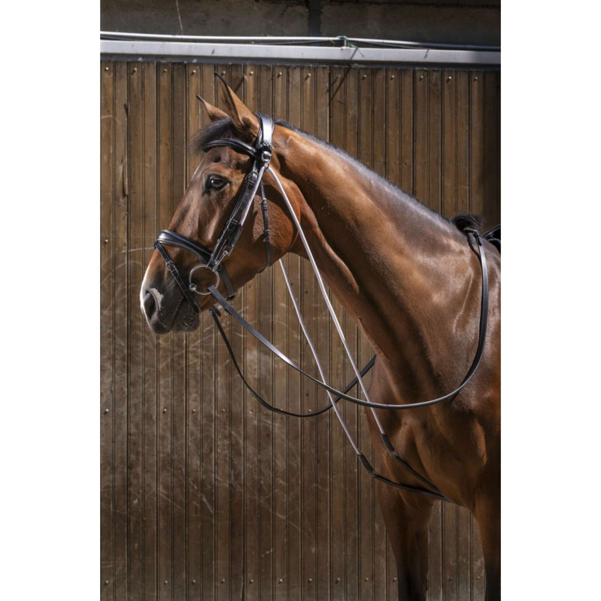 Eric Thomas Chambon Pro Nero