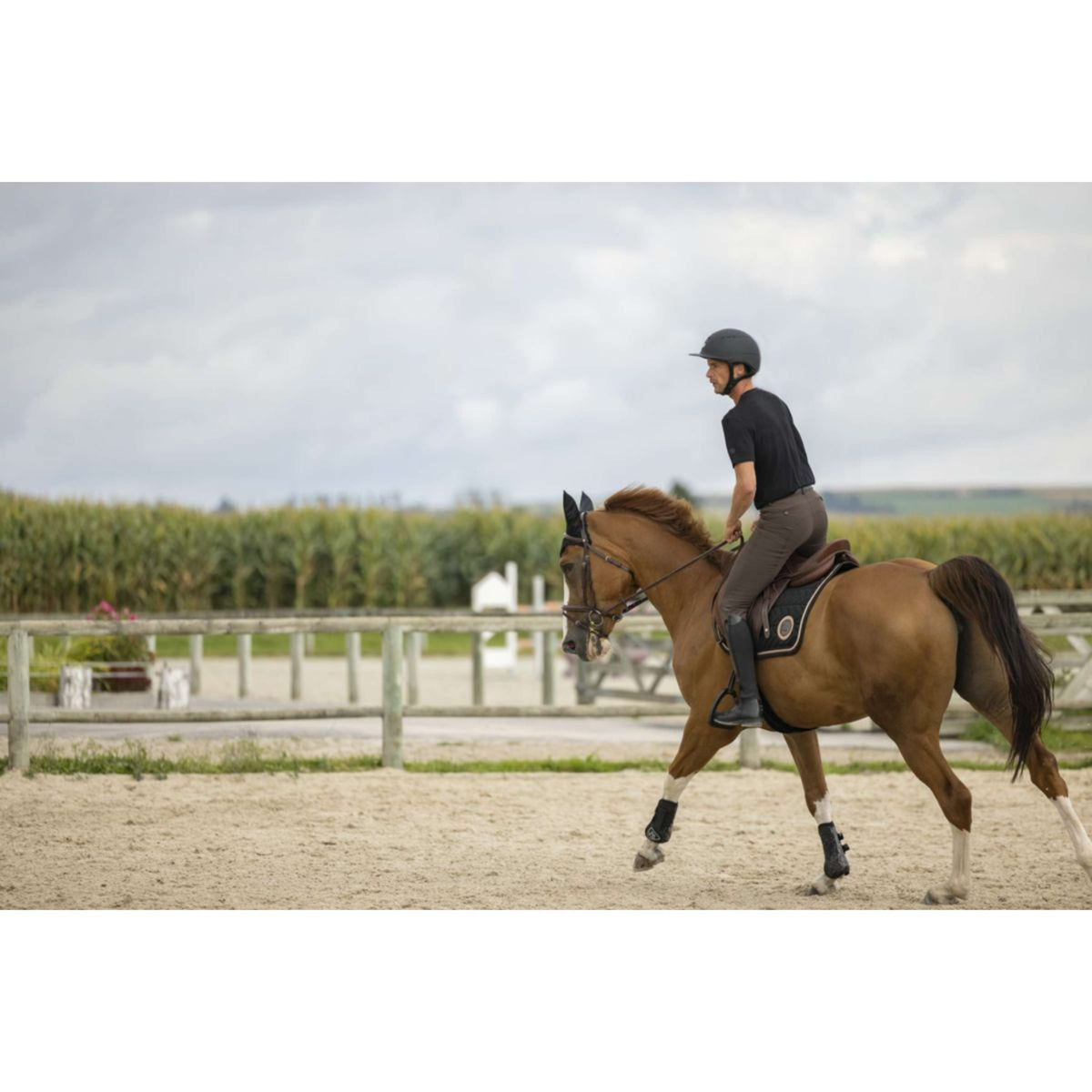 EQUITHÈME Maglietta Pro Series Aubin Nero