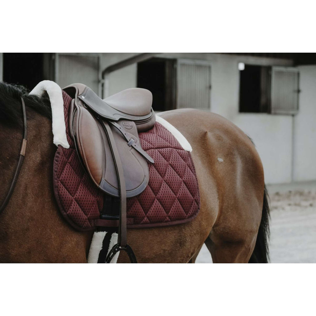 EQUITHÈME Sottosella Pro Air Borgogna