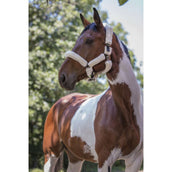 Norton Capezzina Ecru/Cioccolato