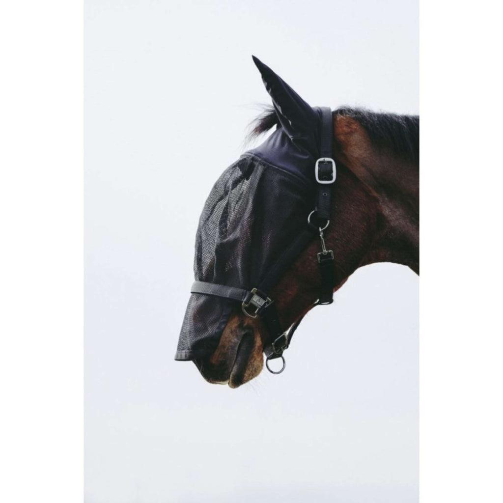 EQUITHÈME Cavezza con Maschera Mesh Nero