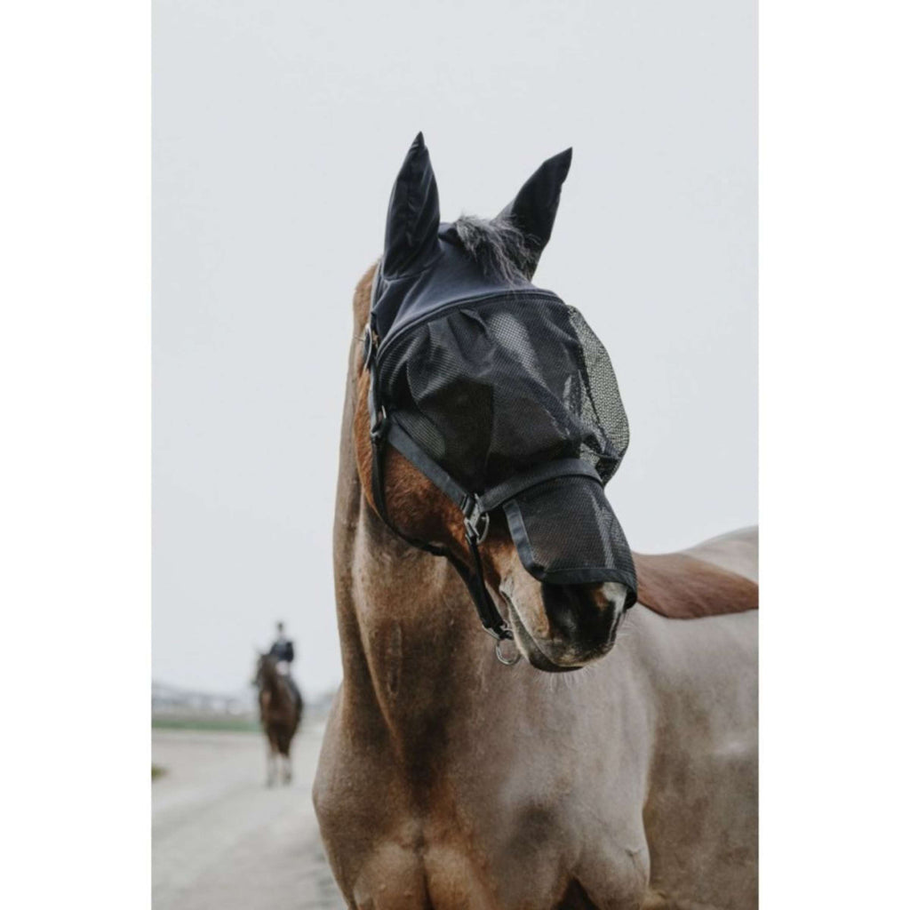 EQUITHÈME Cavezza con Maschera Mesh Nero