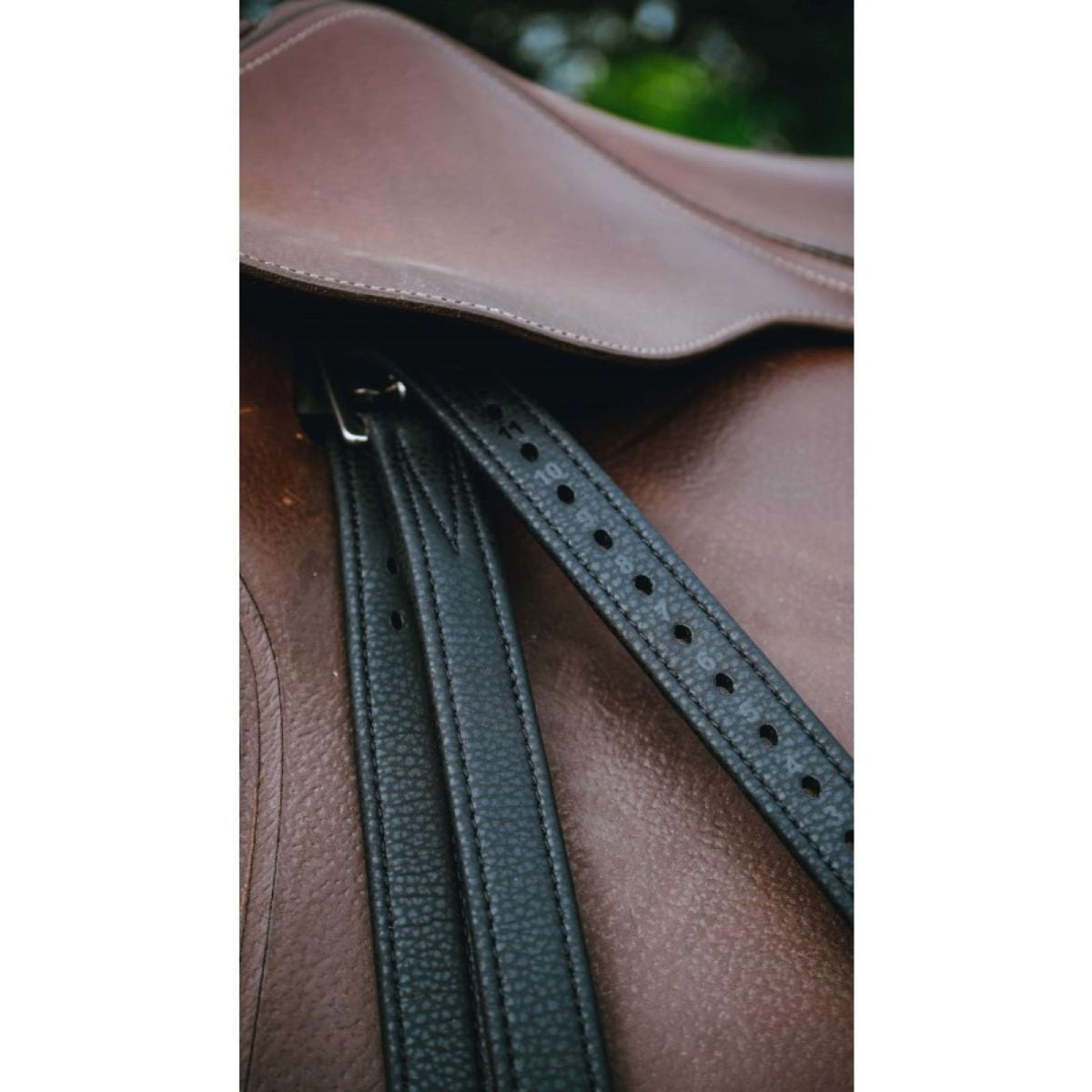 Norton Staffili Nero