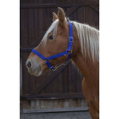 Norton Capezzina Pro Royal Blue