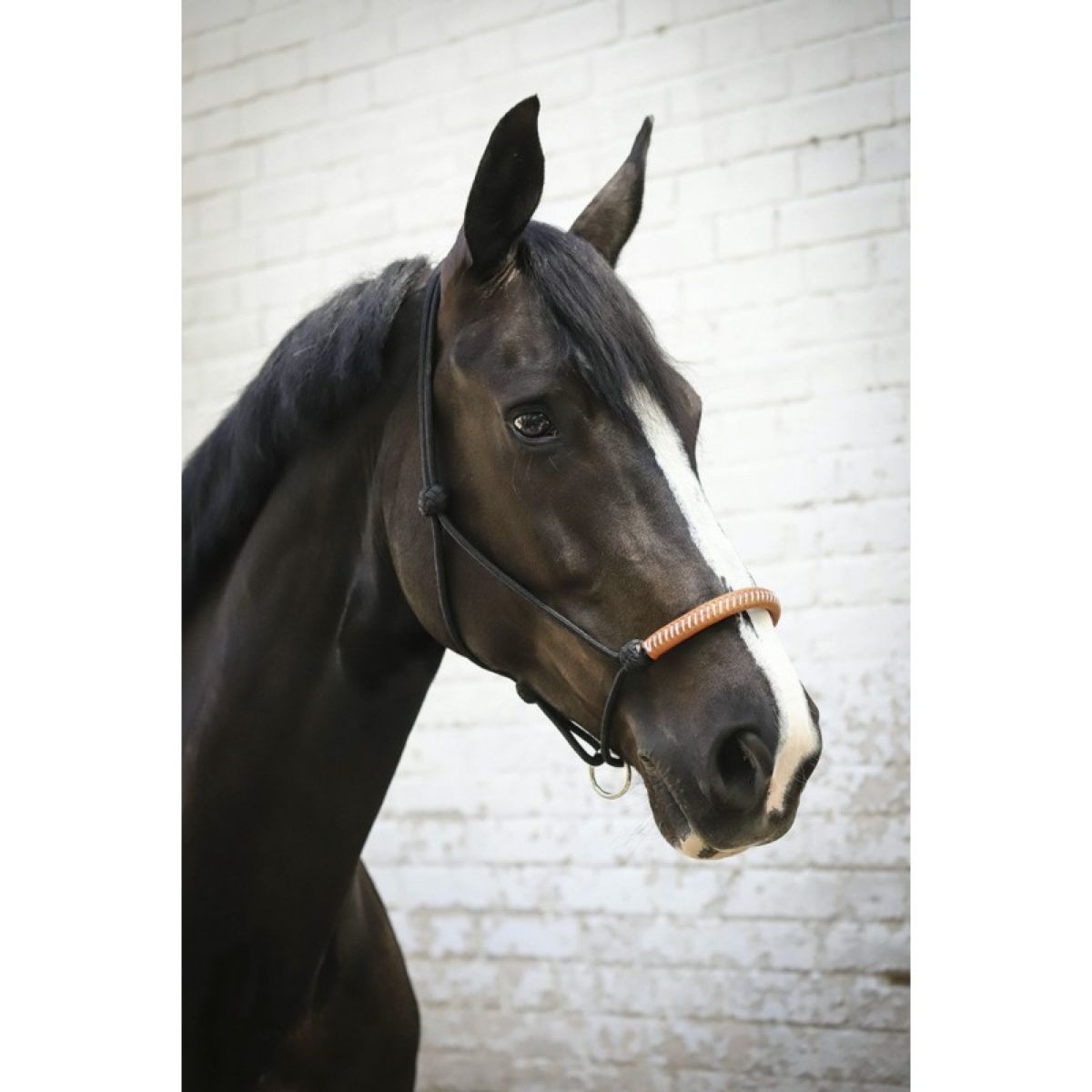 Pénélope Capestro in Corda Western