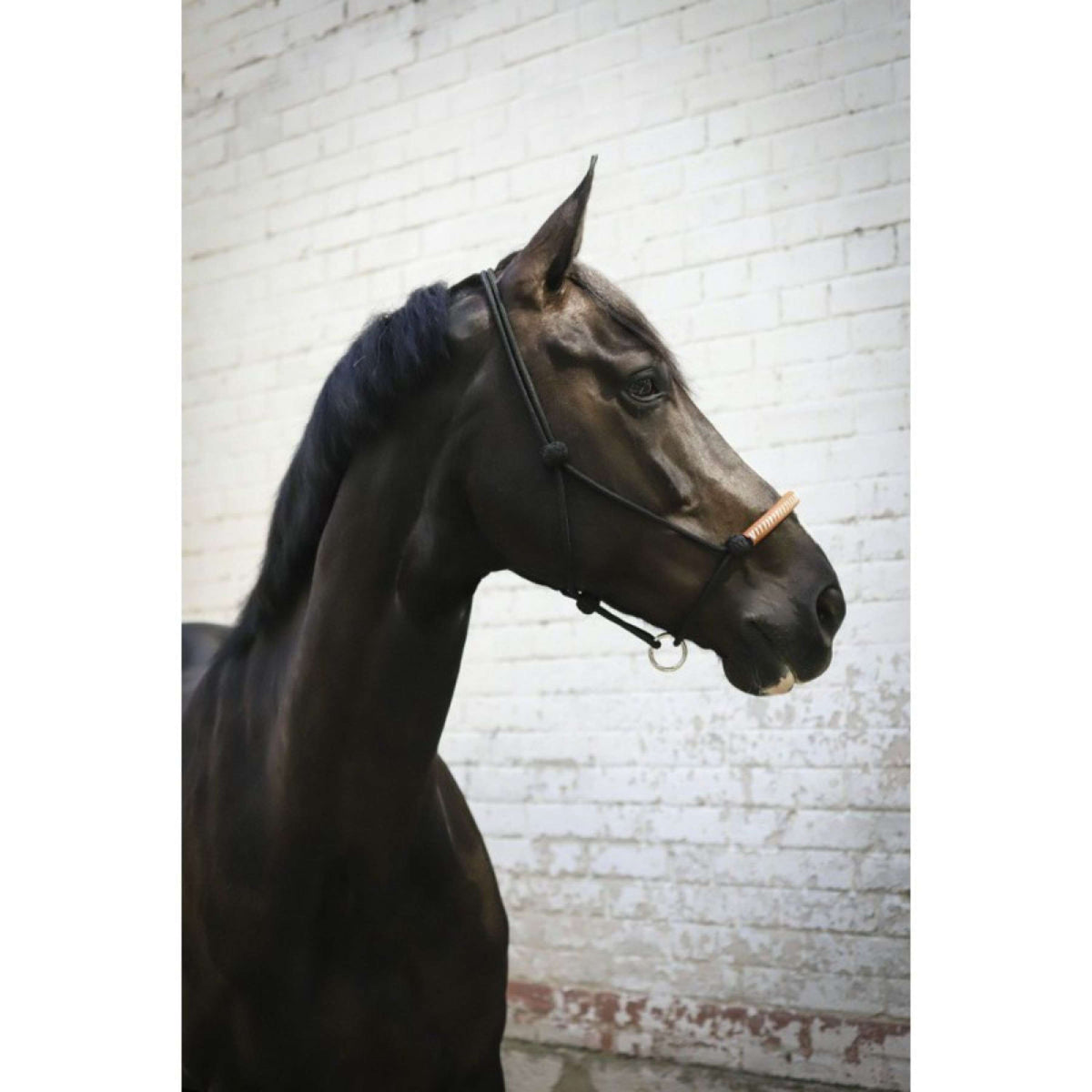 Pénélope Capestro in Corda Western