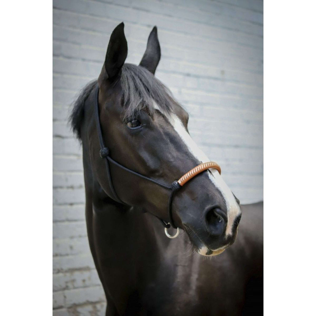 Pénélope Capestro in Corda Western