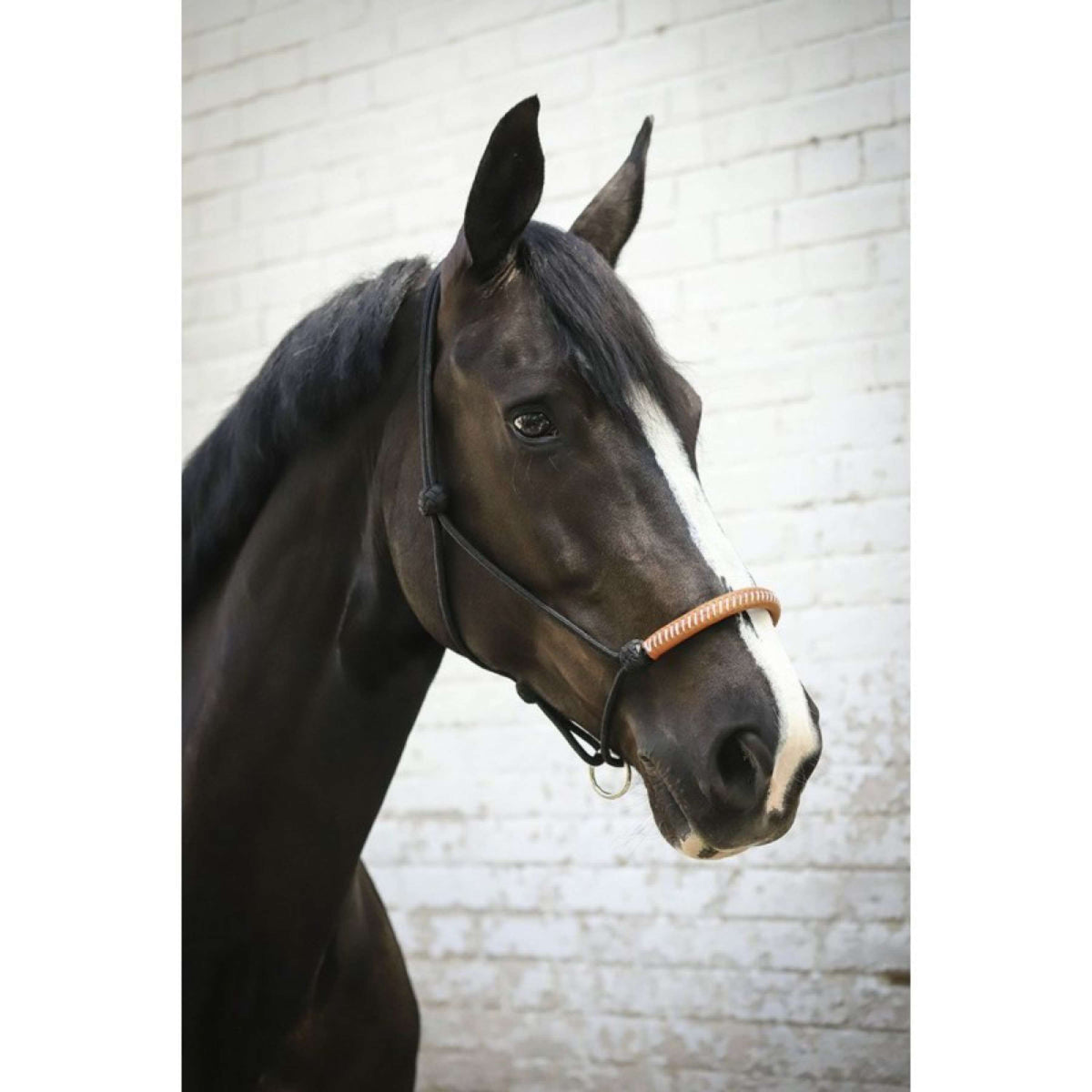 Pénélope Capestro in Corda Western