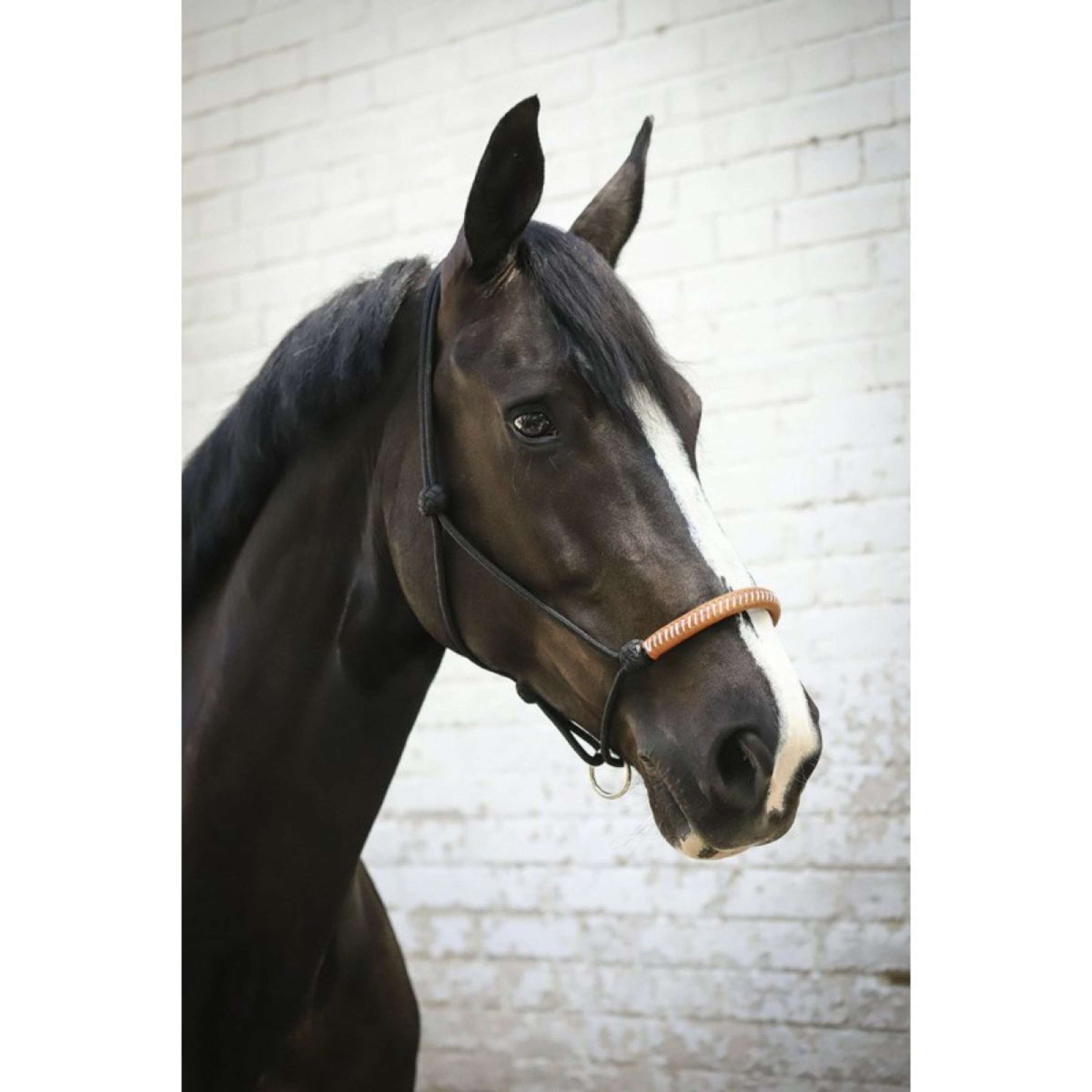 Pénélope Capestro in Corda Western