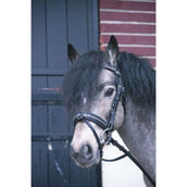 Eden by Pénélope Briglia Eden Nero