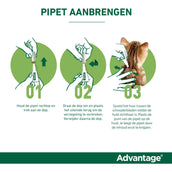 Advantage Vantaggio 80 Spot-On